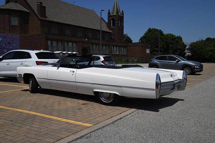 Caddy Baby